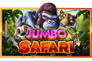 3dbet